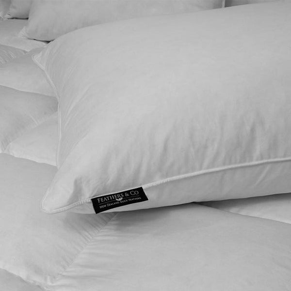 European pillow inner outlet nz