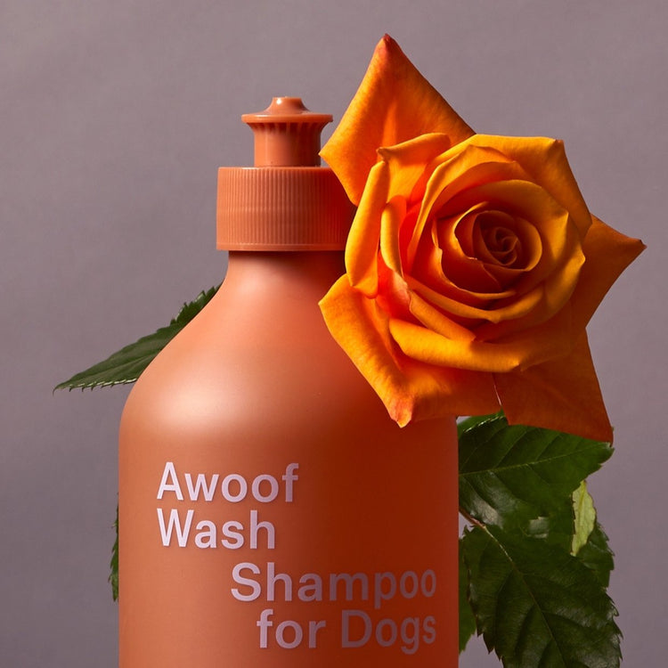 Woof best sale wash shampoo